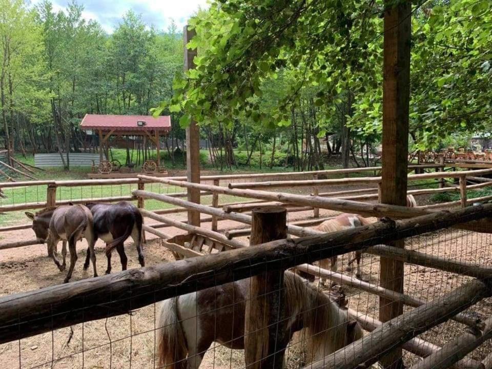 Complex Lebedovo Ezero Strumica Buitenkant foto